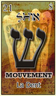 shin est une carte du tarot hebraique qui represent une dent mais aussi le mouvement